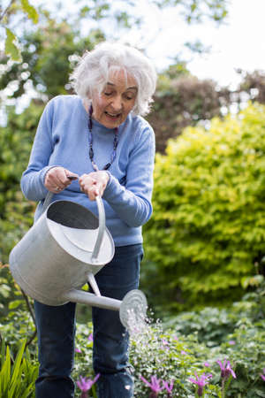Senior Woman Watering Flowers In Gardenの写真素材