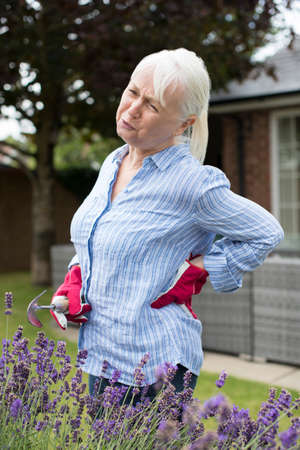 Senior Woman Suffering From Backache Whilst Gardening At Homeの写真素材