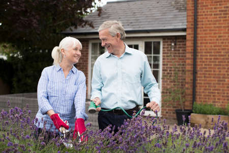 Mature Couple Working In Garden Togetherの写真素材