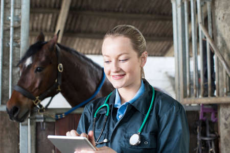 Female Vet With Digital Tablet Examining Horse In Stableの写真素材