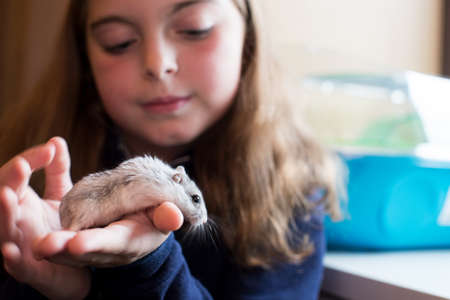 Girl At Home Looking After Pet Hamsterの写真素材