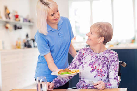Female Care Assistant Serving Meal To Senior Woman Seated In Wheelchair At Tableの写真素材