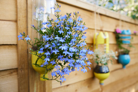 Sustainable Plant Holders Made From Repurposed Recycled Plastic Bottles In Gardenの写真素材