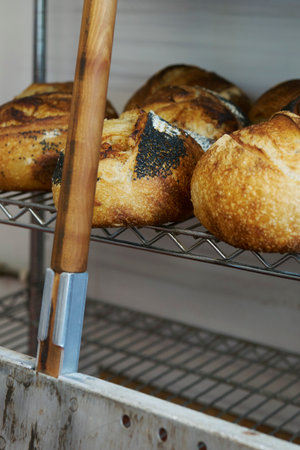 Freshly baked sourdough loaves cooling on racks in bakery with paddle leaning against shelvesの写真素材