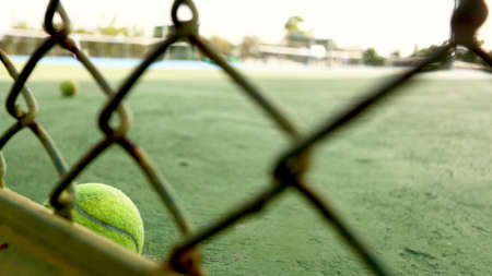 Tennis and wire meshの写真素材