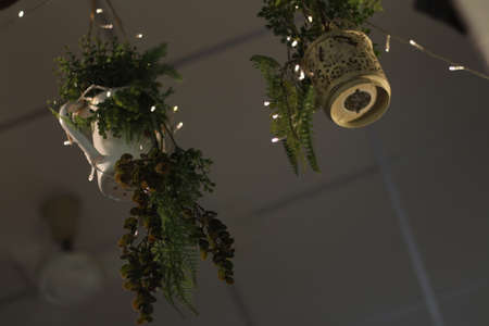 Lamps and trees and Ivy and flower   pots in Thailand
