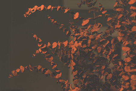 Dried eucalyptus leaves in warm brown tones for autumn background decoration.