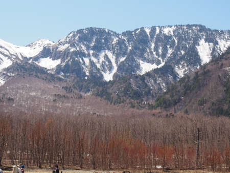 Snowy mountain range with autumn leaves