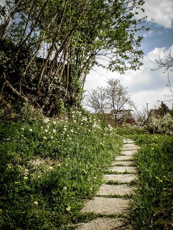 Village Pathの写真素材