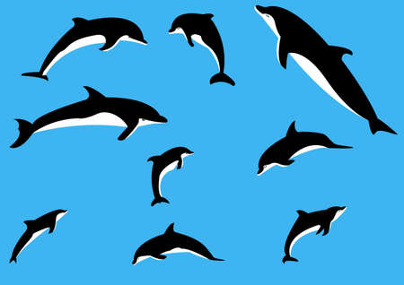 Vector dolphins in various posesのイラスト素材