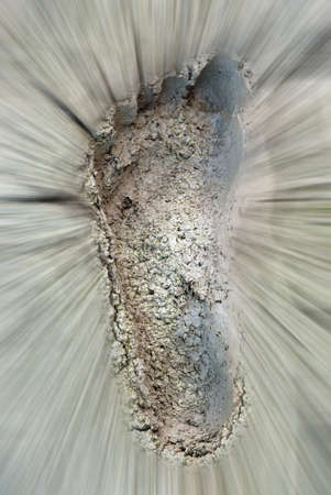  Abstract blur imprint bare feet in the mudの写真素材