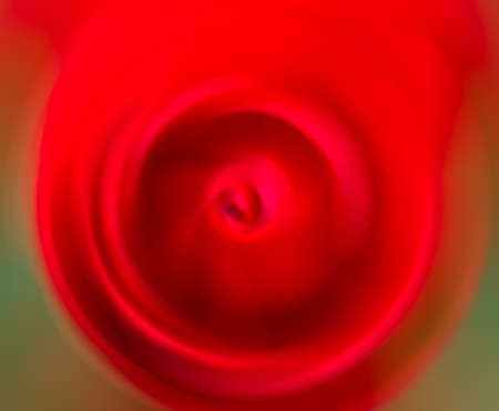 Swirling red rose. abstract compositionの写真素材