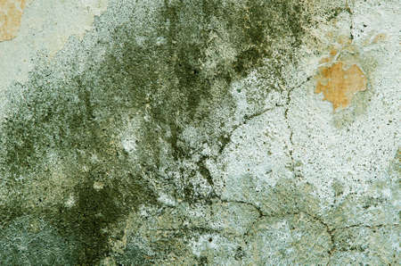 Several different green layers of plaster deposited on the wall. textural compositionの写真素材