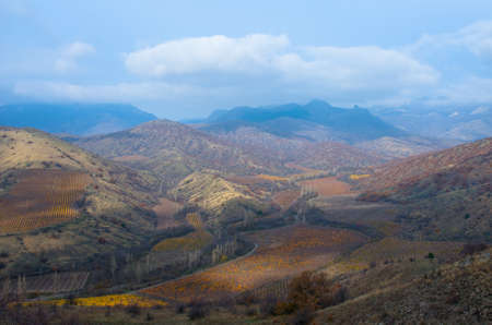 Beautiful view from the mountains to the vineyards on an autumn afternoon. Natural compositionの写真素材