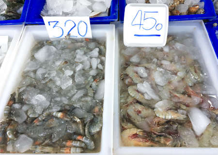Fresh river prawns at market.の写真素材