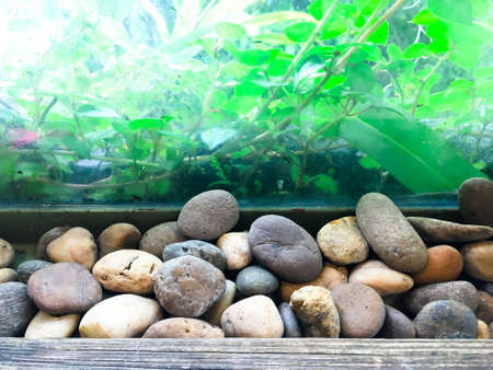 The stones used to decorate the restaurant or coffee shop.の写真素材