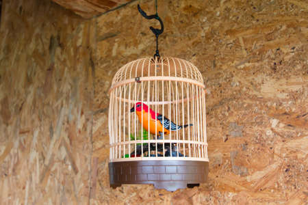 Statue of bird in wooden cage on plywood background texture.の写真素材