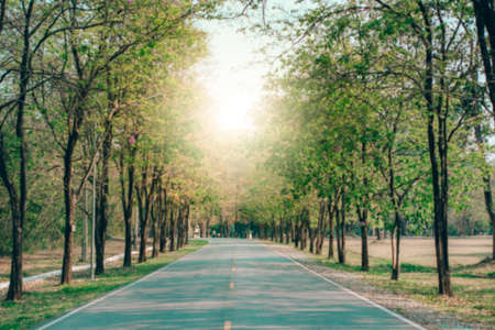 Blur image road through green trees with sunlight, vintage tone background texture.の写真素材