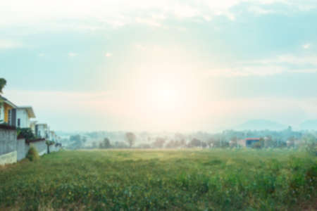 Blur image green meadow with sunlight background texture.の写真素材