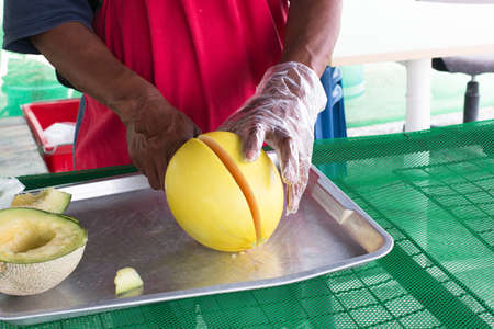 Close up hand cut yellow melons growing in greenhouse supported at the farm, Thailand.