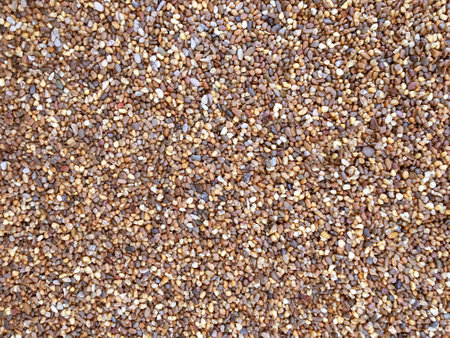 Mix color of gravel, use sidewalk to decorate the garden. Fine gravel, natural stones. background texture.の写真素材