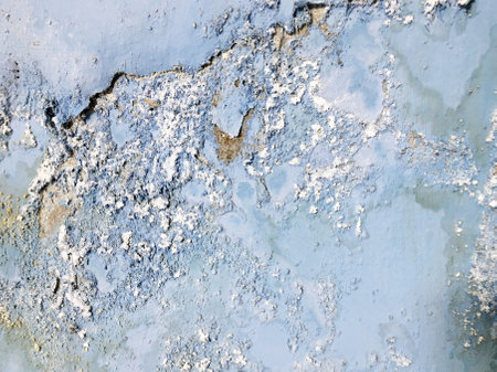 Rain water leaks on the ceiling causing damage, peeling paint and moldy.