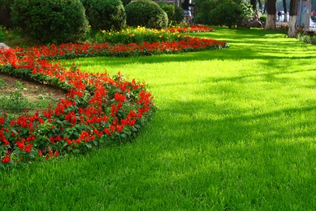 lawnの写真素材