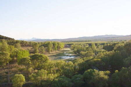 Wetland forestの写真素材