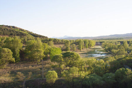 Wetland forestの写真素材