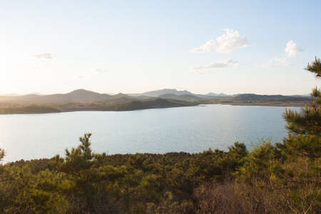 Pine trees in the lakeの写真素材