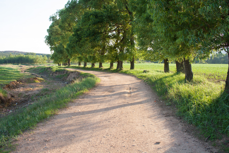 Crooked Rural Road in Chinaの写真素材