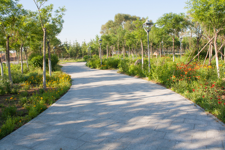 Sidewalk in the summer parkの写真素材