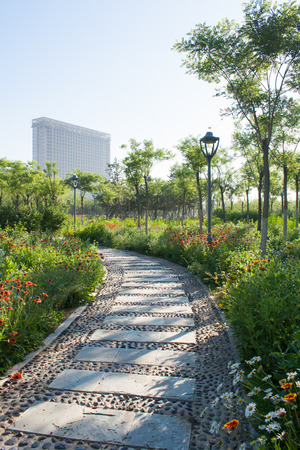 Sidewalk in the summer parkの写真素材