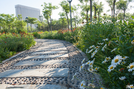 Sidewalk in the summer parkの写真素材