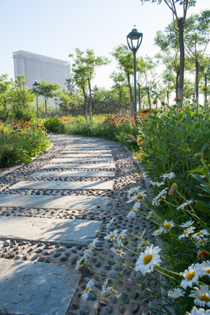 Sidewalk in the summer parkの写真素材