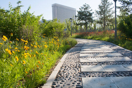Sidewalk in the summer parkの写真素材