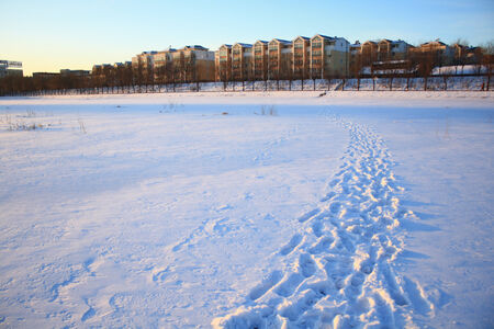 footprints in the snowの写真素材