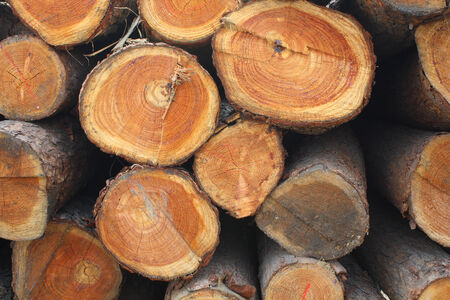 stack of wood