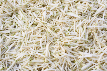 dried radishの写真素材