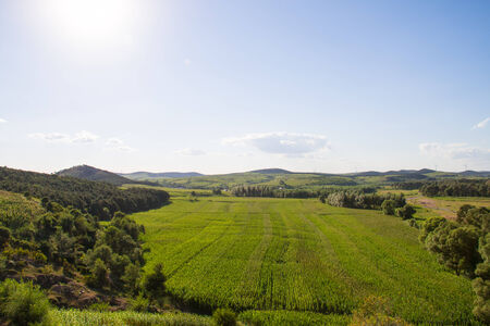 Rural landscape