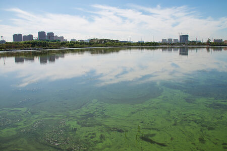 Lake Pollution