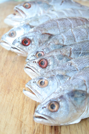 Croakerの写真素材