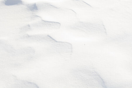 Snow Texture