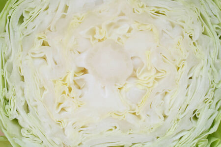 Cabbageの写真素材