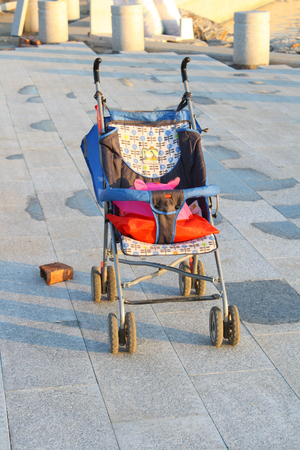 Baby Stroller