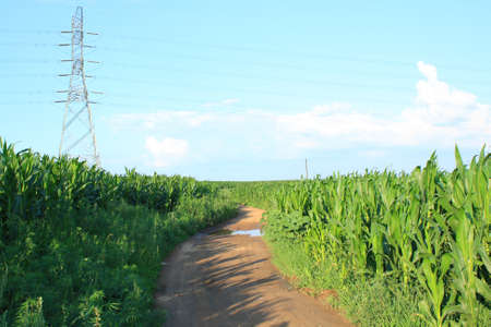 Farm track
