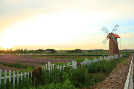 Windmillの写真素材