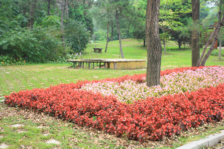 Flower Bedの写真素材