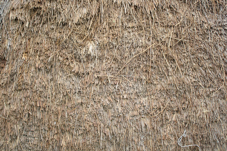 Thatched backgroundの写真素材