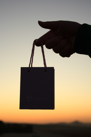 Holding an bag silhouetteの写真素材